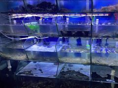 水产区-星奇缘·海鲜餐厅(东山美食地标店)