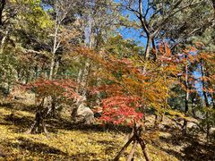 -崂山九水游览区