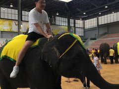 -东芭乐园