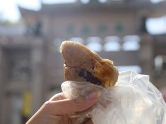 -司徒世家·兵马司林粽球(牌坊街店)