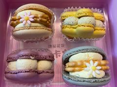-云朵上的鱼(莘庄店)