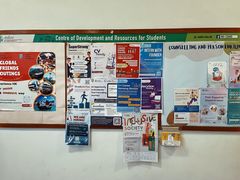 -香港大学