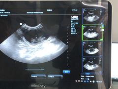 -嘉馨宠物医院·CT影像转诊·心脏科·犬猫全科诊疗中心(下沙大学城院区)