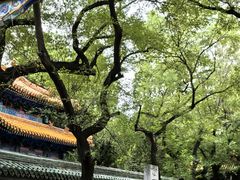 -北京国子监胡同