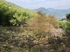 -山沟沟景区