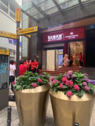 点击看大图 -金夫人婚纱摄影(总店)