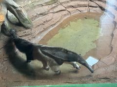 -杭州野生动物世界