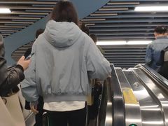 -大望路(地铁站)