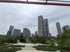 -大望京公园