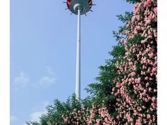 -花果园湿地公园