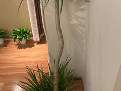 -青曼SPA·按摩·采耳·足道(龙之梦店)