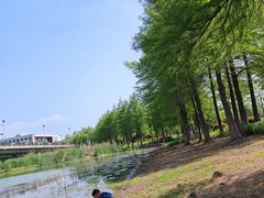 -长广溪湿地公园