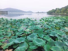 -南北湖风景区