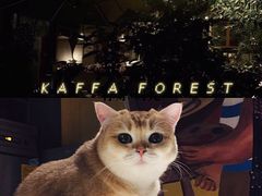 -咖法森林·咖啡  酒吧(天河店)