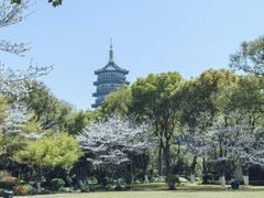 -浙江西子宾馆·牡丹厅
