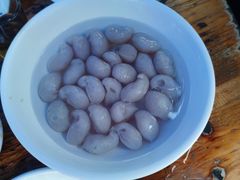 -章记正宗南岗鱼蛋火锅