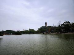 -江心屿景区