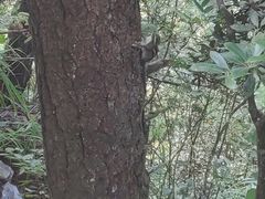 -毛泽东同志旧居