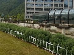 -斯瑞特国际酒店