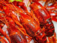 -乔街深夜食堂·小龙虾·高压锅生蚝(杭州总店)