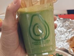 -油梨树AVOCADO TREE(嘉里中心店)