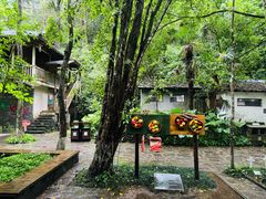 -桂林古东瀑布景区
