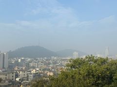 -顺峰山公园