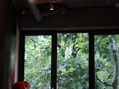 -Ginger(兴国路店)