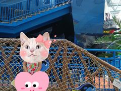 -青岛东方影都融创水世界