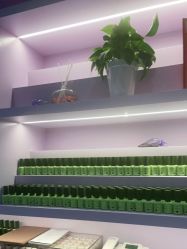 -孔雀手美甲美睫护理