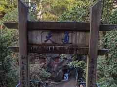 -天台山琼台仙谷景区