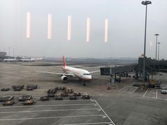 -麦当劳(机场T1航站楼店)