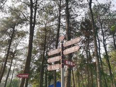 -客乐得玉峰山房车营地