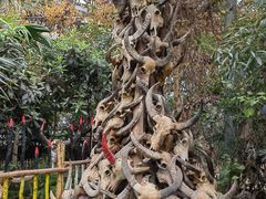-呀路古热带植物园-恐龙馆