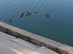 -水上乐园·欢乐世界