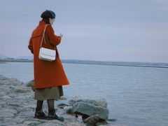 -合肥滨湖国家森林公园