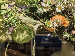 -SeekSeeking咖啡专门店(堰塘街店)