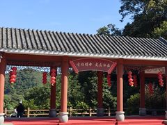 -广州市帽峰山景区