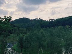 -东莞植物园
