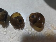 -呼吸森林·生态农庄农家乐私房菜