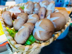 -湊湊火锅·茶憩(南京东路悦荟店)