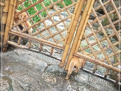 -静安公园(静安寺街道)