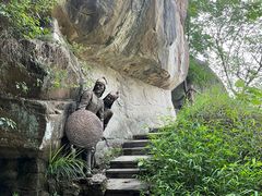 -铁山坪森林公园