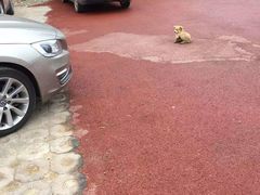 -淇河国家湿地公园