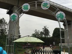 -秀丽东方