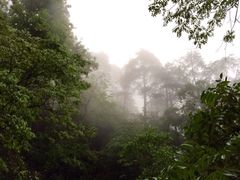 iphone_upload_pic-东天目山风景区