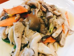 炒平菇-玛禄藏膳(五分店)