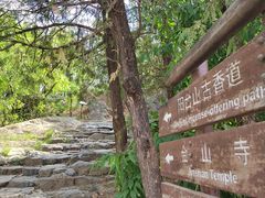 -阳台山自然风景区