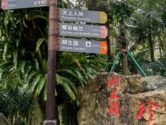 -深圳仙湖植物园