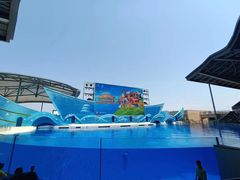 -上海海昌海洋公园